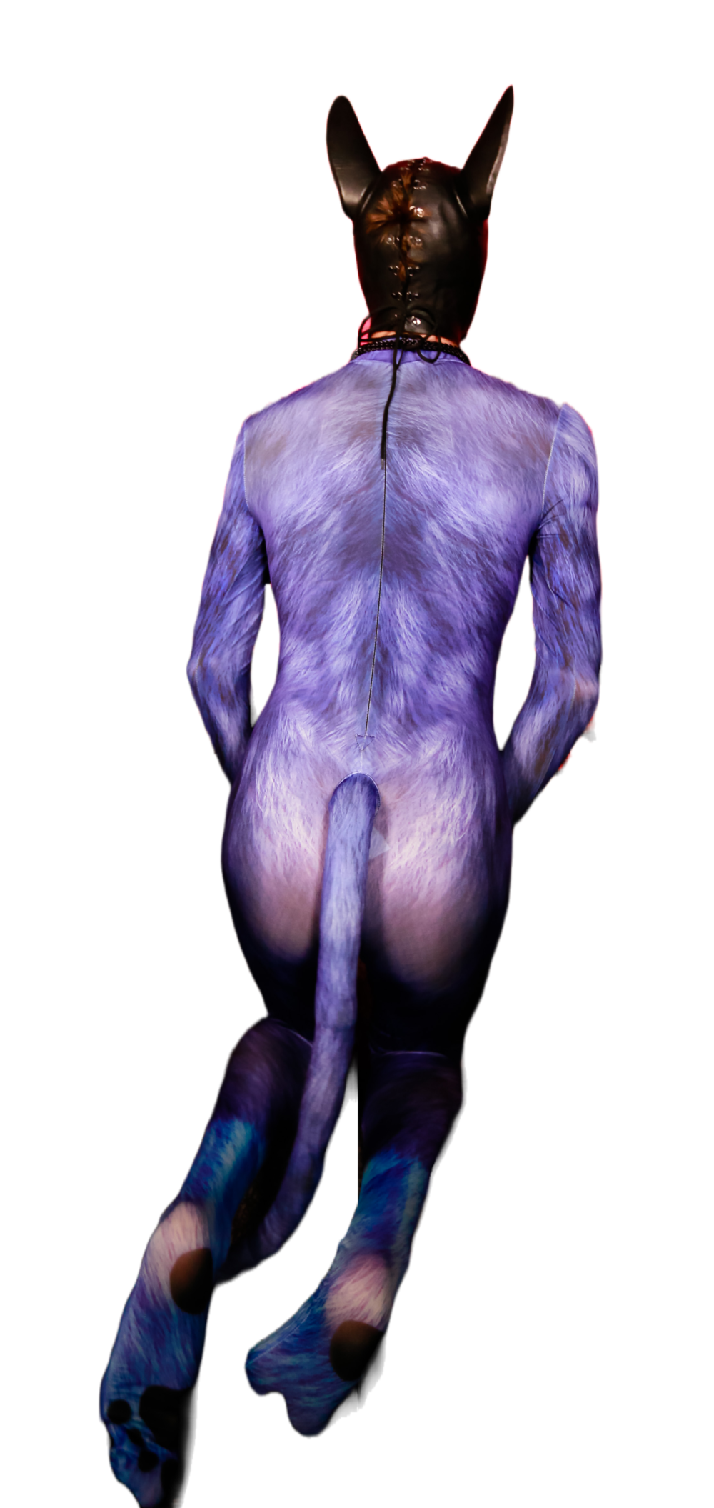 Blue dog petsuit