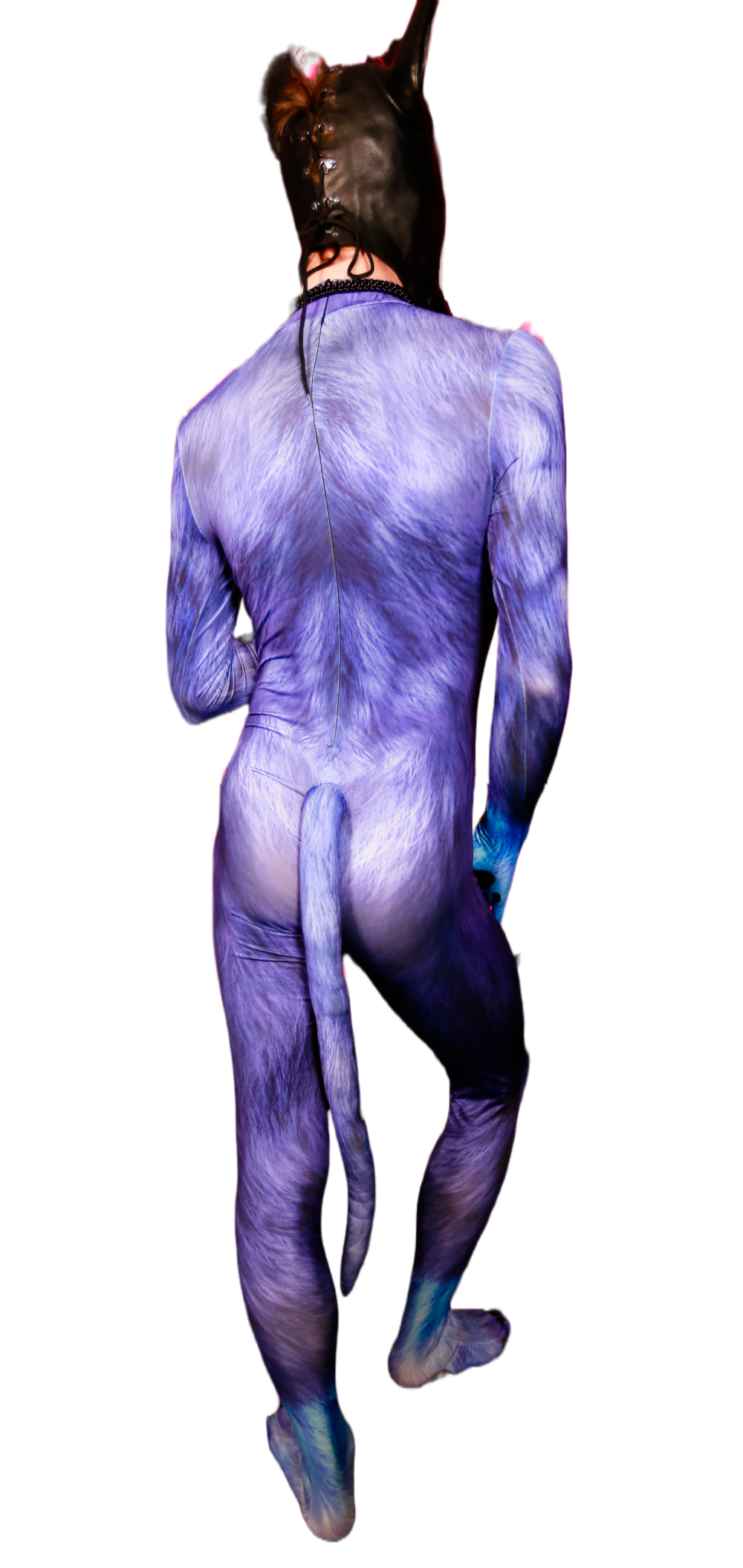 Blue dog petsuit