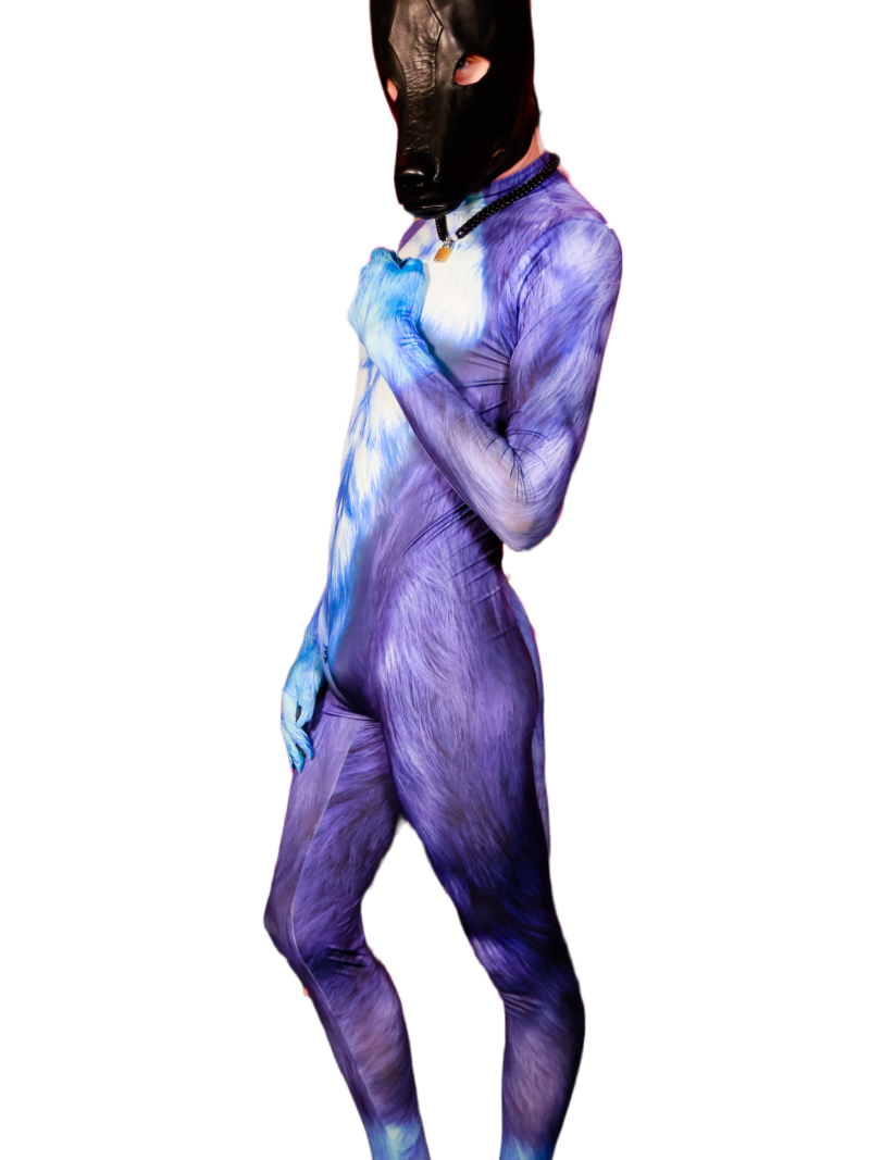 Blue dog petsuit