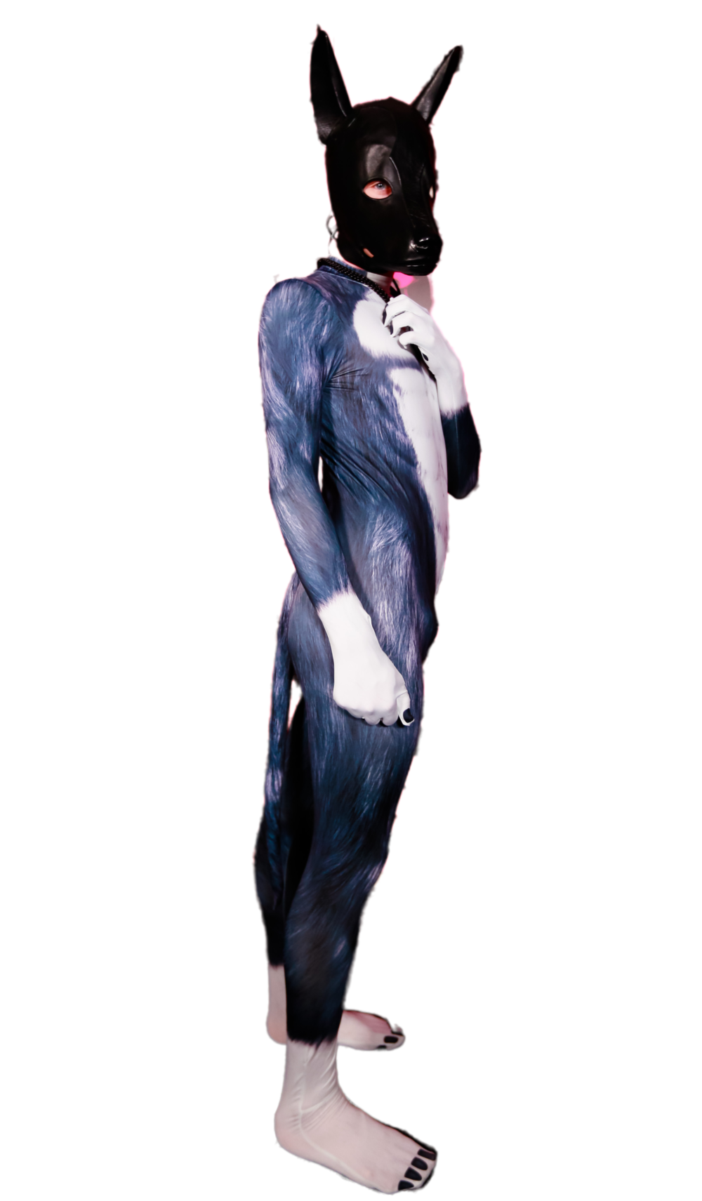 Black Wolf petsuit