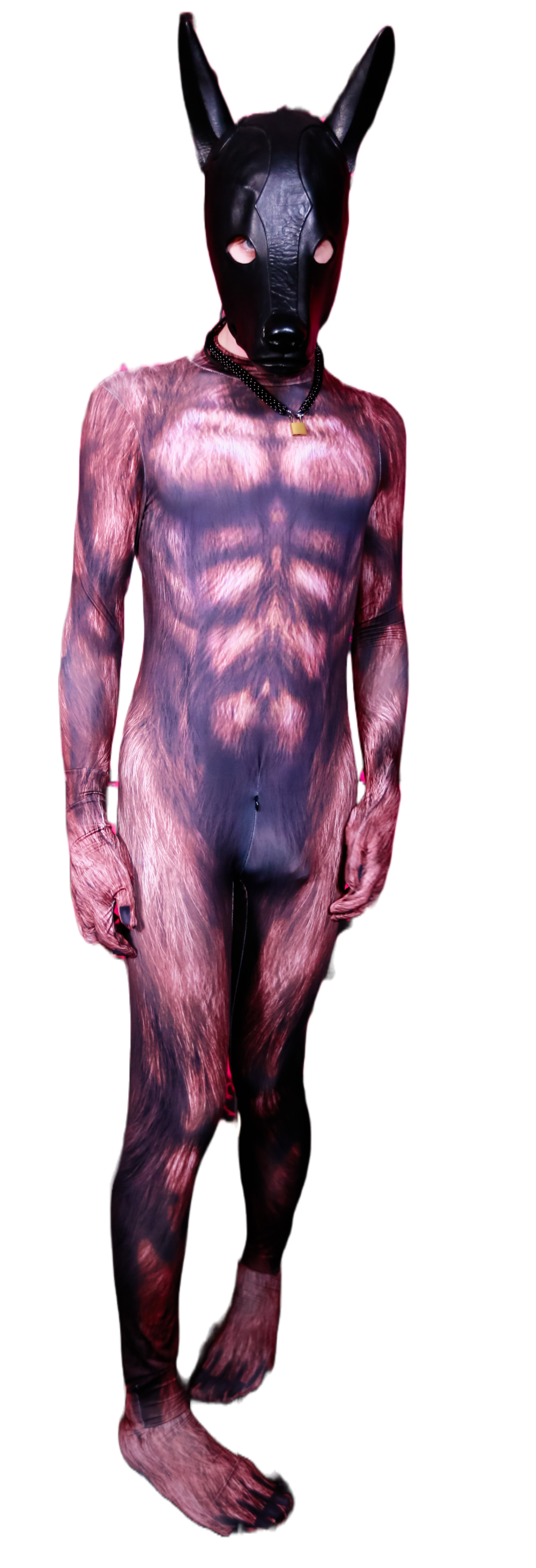 Brown bear petsuit