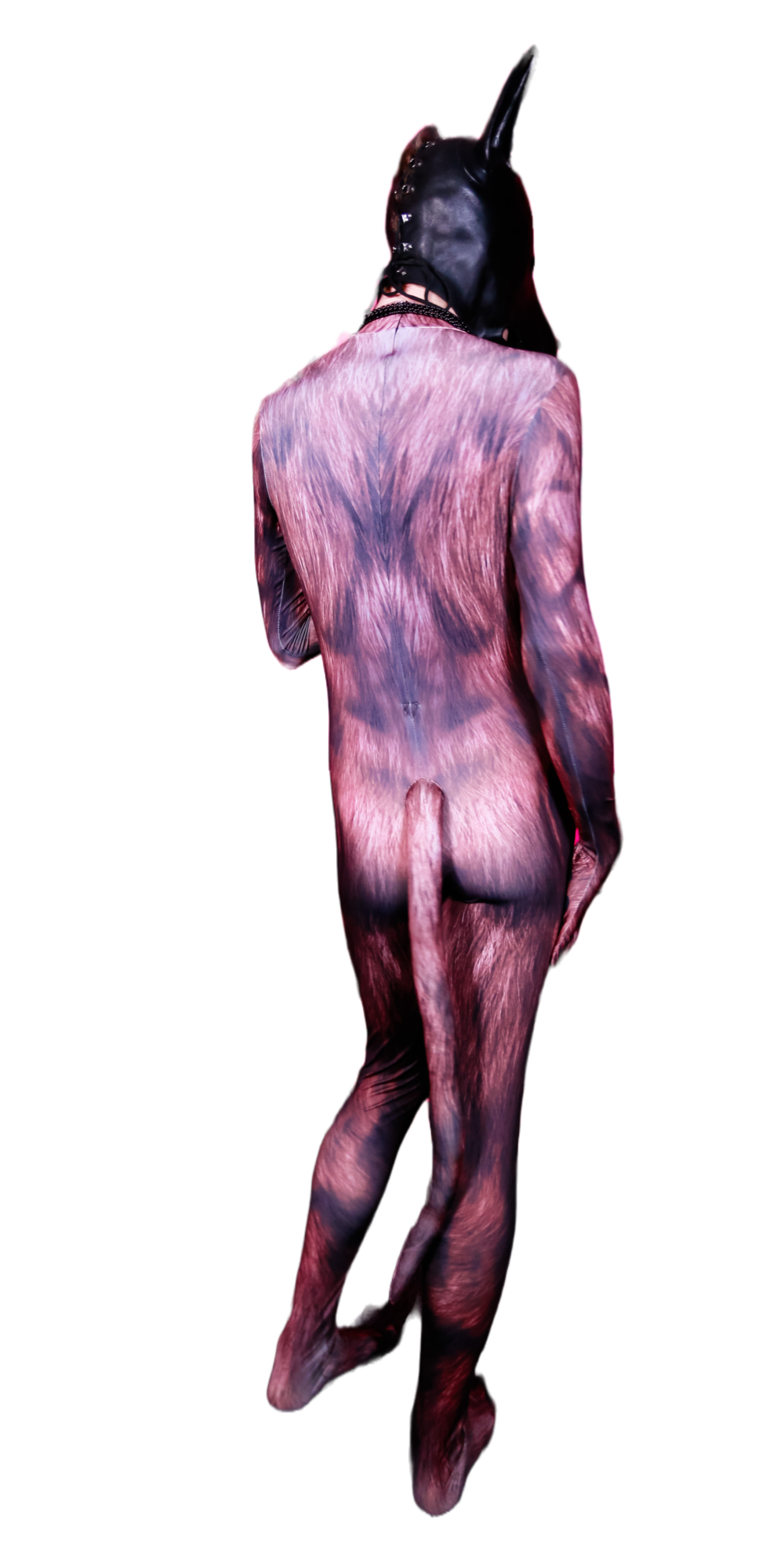 Brown bear petsuit