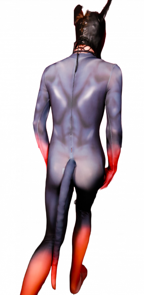 Doberman petsuit