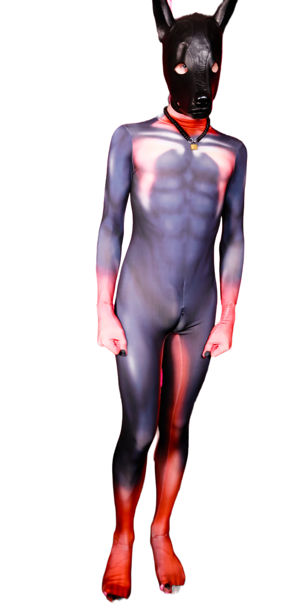 Doberman petsuit