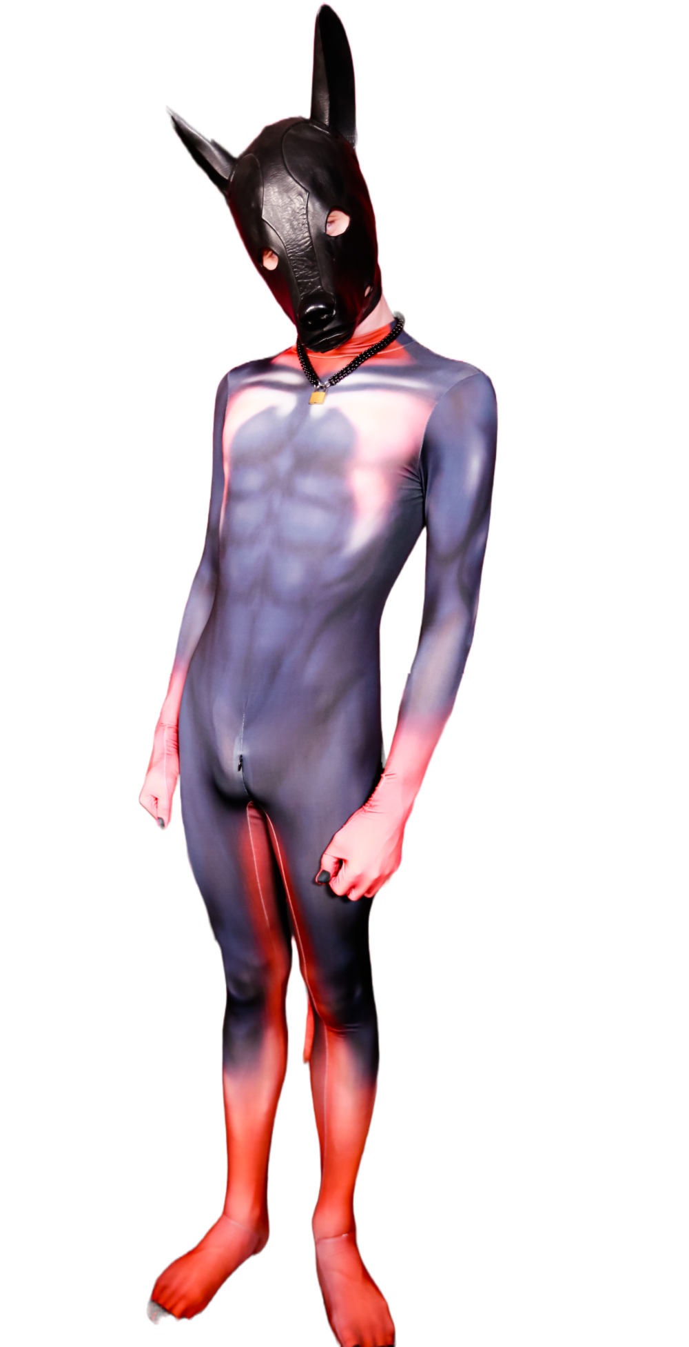 Doberman petsuit