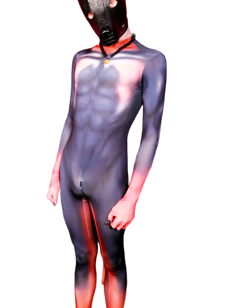 Doberman petsuit