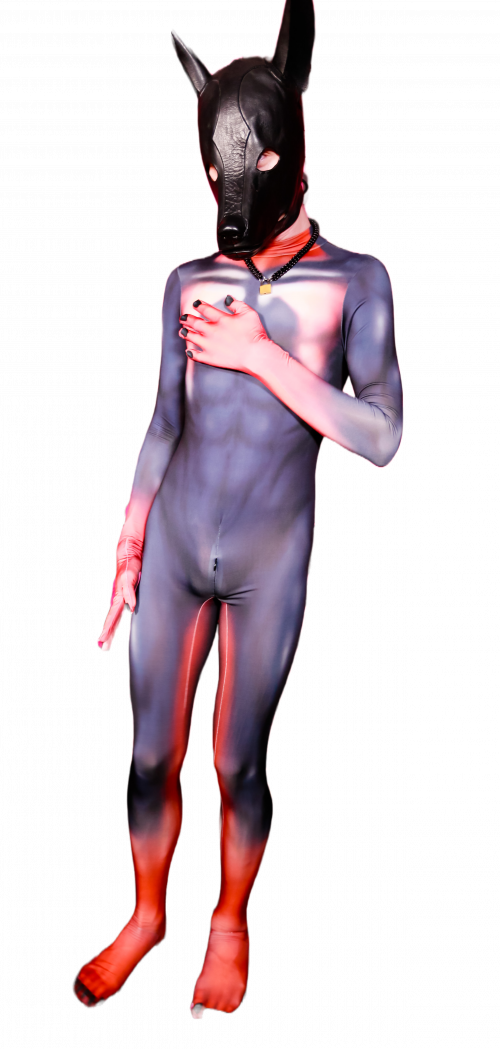 Doberman petsuit