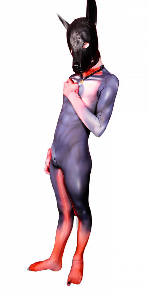 Doberman petsuit