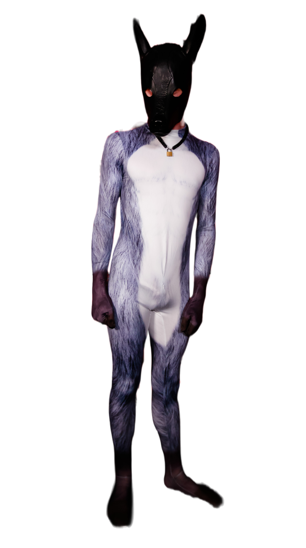 Grey Wolf petsuit