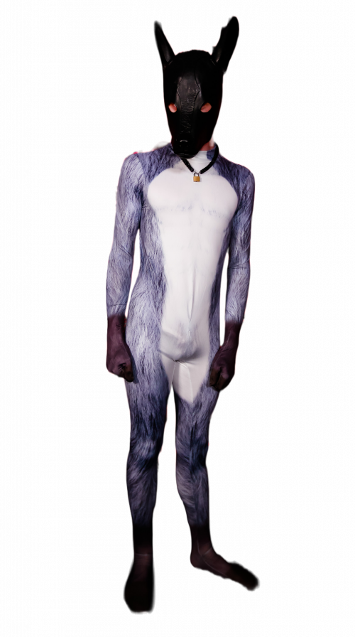 Grey Wolf petsuit