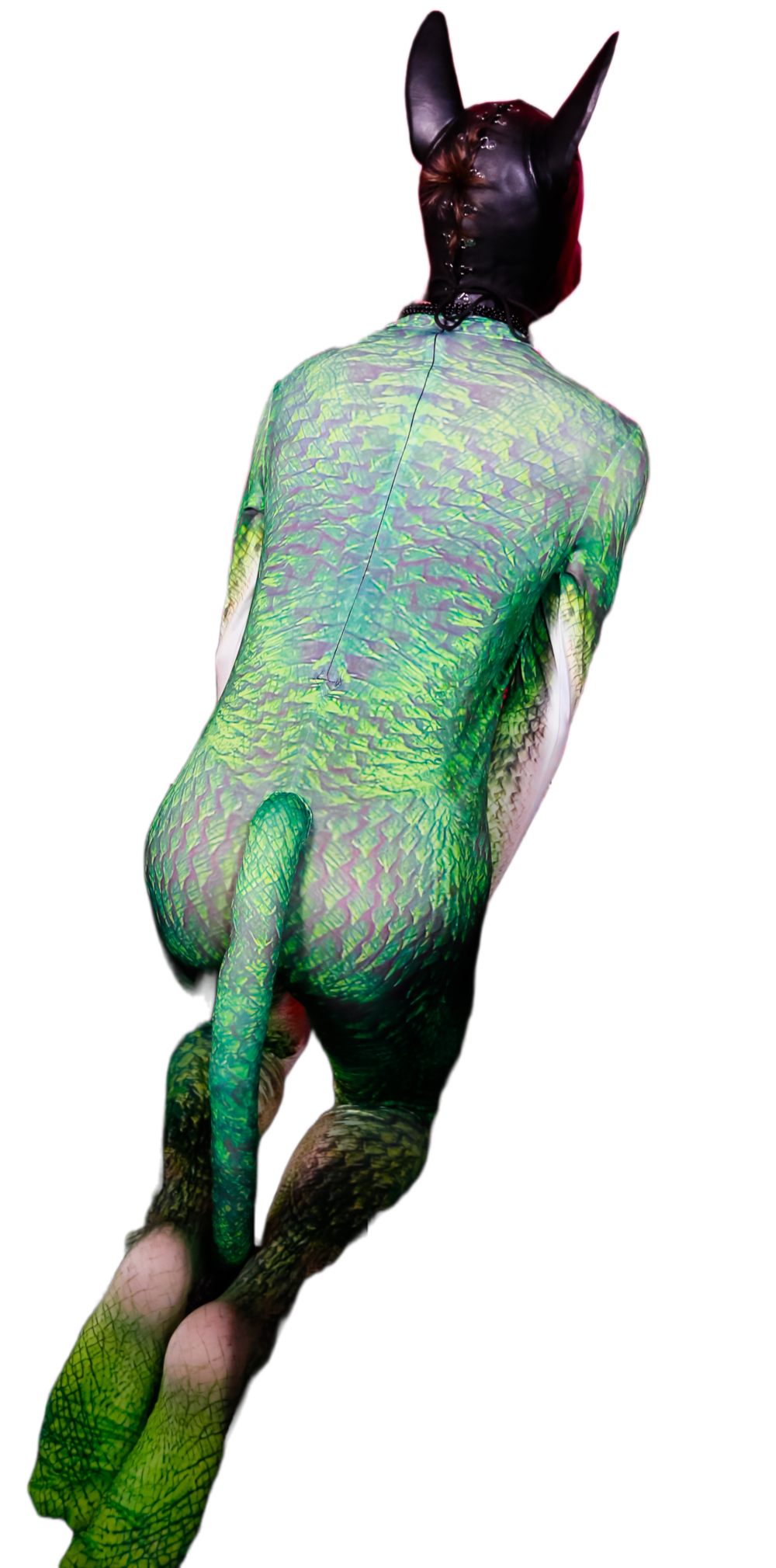 Lizzard petsuit
