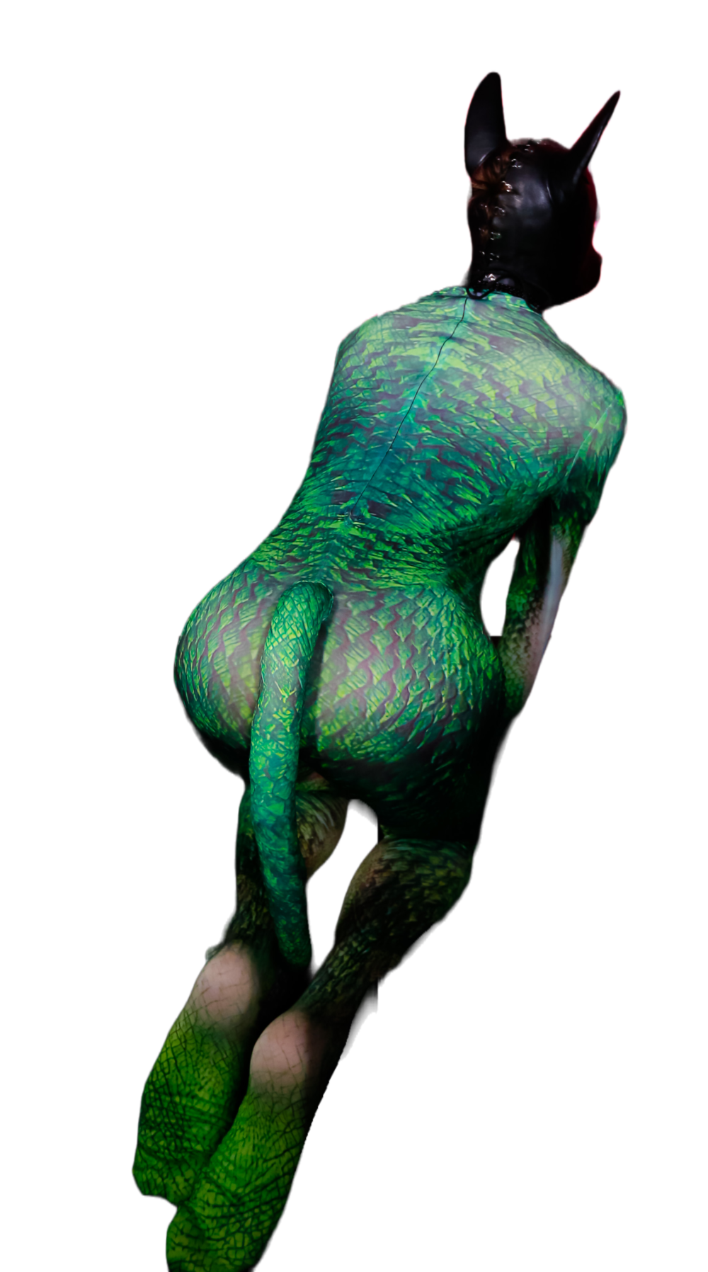 Lizzard petsuit