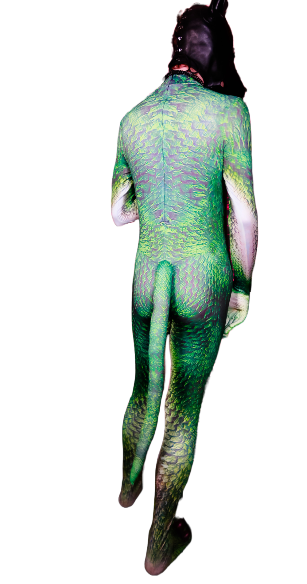 Lizzard petsuit