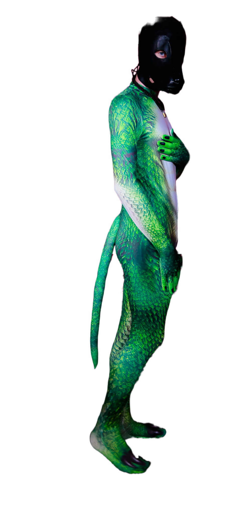 Lizzard petsuit