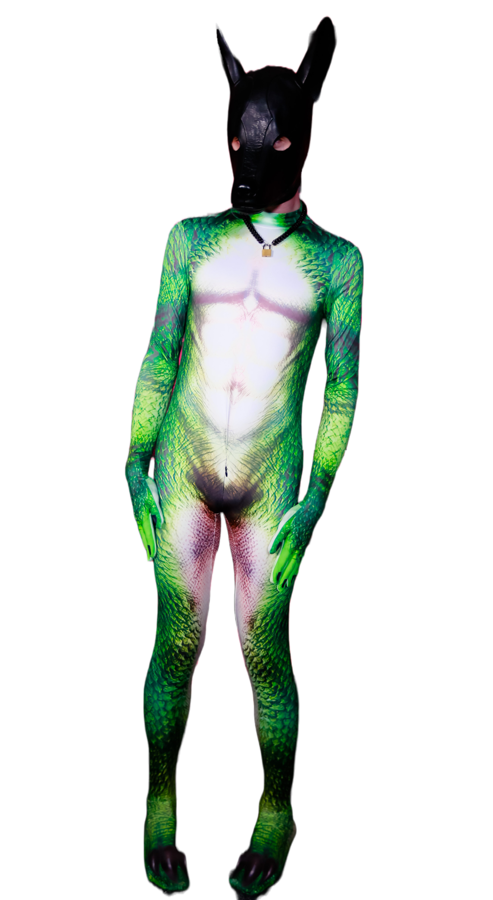 Lizzard petsuit