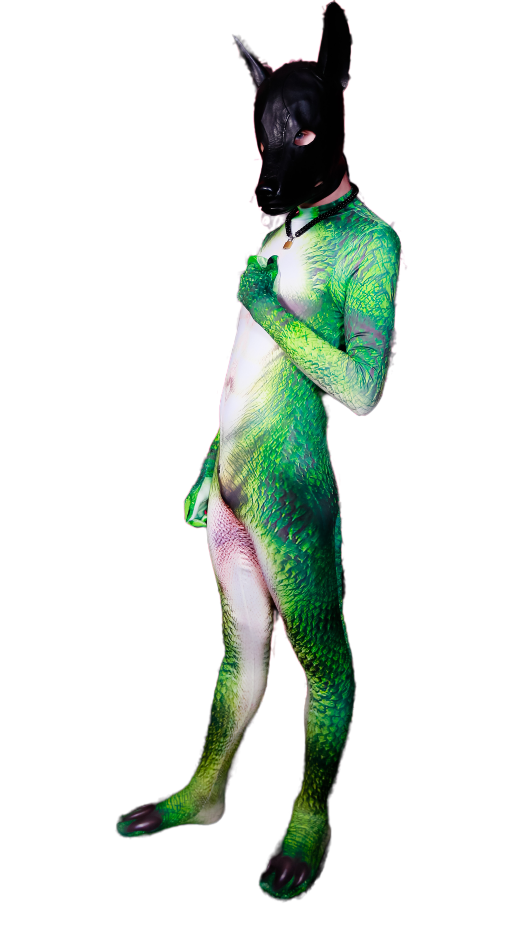 Lizzard petsuit
