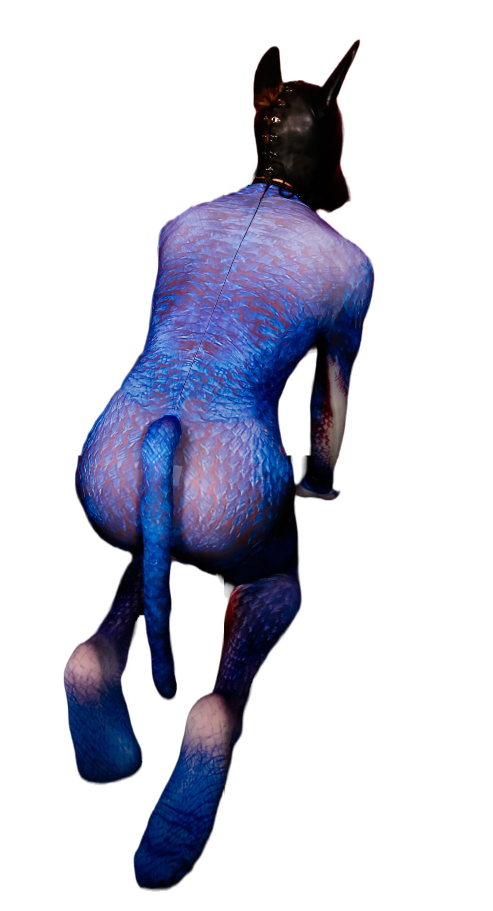 Blue Dragon petsuit