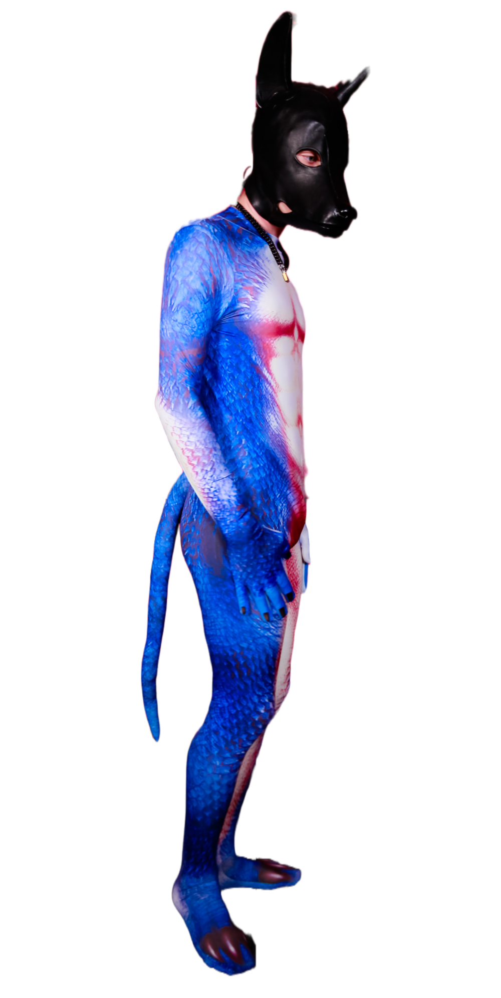 Blue Dragon petsuit