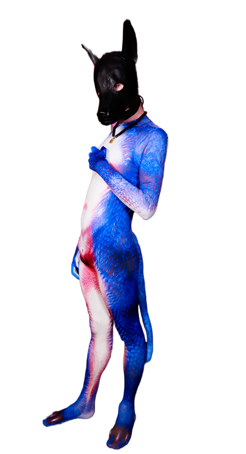 Blue Dragon petsuit