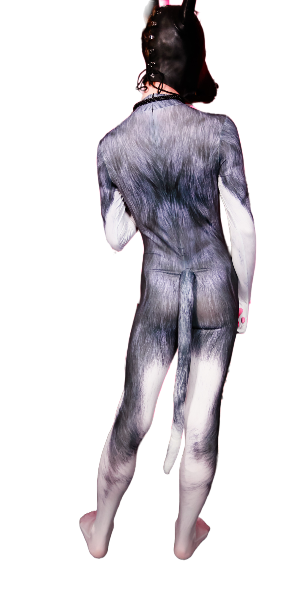 Grey Wolf petsuit