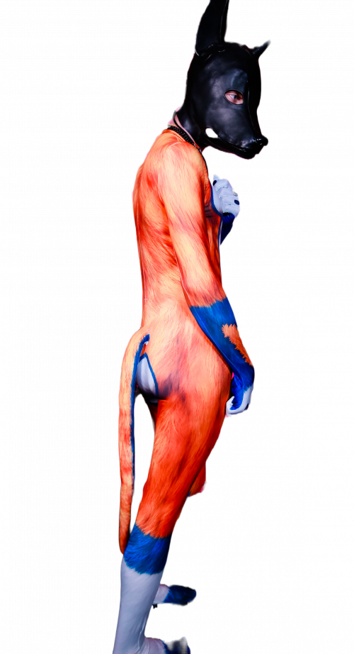 Orange Dog Petsuit