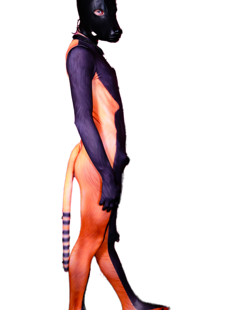 Racoon PETSUIT